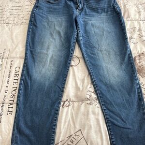 Chico Boyfriend Ankle Jeans size 12P